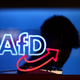 AfD se je zasidrala na vrhu priljubljenosti strank v Nemčiji
