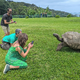 Slaba šala ali poskus prevare? Svet obšla lažna novica, da je poginil sloviti želvak Jonathan.
