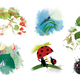 Lepota čudenja nad majhnim: ilustracije žuželk med znanostjo in domišljijo