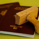 Odbor DZ-ja potrdil predlog zakona glede vzpostavitve Eurodaca