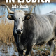 Jože Štucin: Matador in ljubica