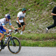 Red Bull razkril karte za Tour: v vlogi kapetana Evenepoel in Lipowitz