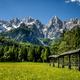 Poletni obisk Kranjske Gore popestrila nova panoramska vožnja na vrh Vitranca