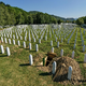 Mineva 31 let od genocida v Srebrenici. Pokopali bodo posmrtne ostanke desetih žrtev.