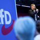 AfD pred zgodovinsko zmago, a vladanje v Saški-Anhaltu vprašljivo