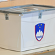 Koliko referendumov nas čaka jeseni?