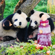 Zvezdi berlinskega ZOO-ja, pandi Leni in Lotti, praznujeta 2. rojstni dan