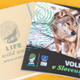 V sezoni 2024/2025 so v Sloveniji zaznali med 130 in 140 volkov ter 16 volčjih tropov