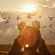 Katera duhovna sporočila nam poskušajo predati ptice?