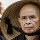Modrosti budističnega mojstra Thicha Nhata Hanha o tem, kako se soočiti s trpljenjem