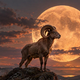 “Pogledala sem astrološko karto polne lune 26. septembra – in presenetilo me je, kar sem zagledala”