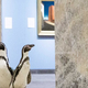 Muzej je med karanteno namesto ljudi sprejel - pingvine #video #foto