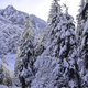 Najlepši nezahtevni zimski pohodi v slovenskih gorah
