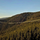 Vrtoglavica zagotovljena: Čehi imajo najdaljšo visečo brv na svetu