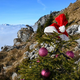 Priljubljeni novoletni pohodi v gore, a pozor! #video