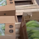 Novo pošiljko kokaina med bananami prestregli v Španiji #video