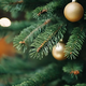 Dilema pri nakupu božičnega drevesca: izbrati naravno ali umetno?