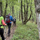 Drzni pohodniki prehodili 64 km kočevskih gozdov #video