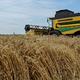 EU zaostrila uvoz ukrajinskih kmetijskih proizvodov