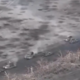 Največji ruski tankovski napad v vojni v Ukrajini #video