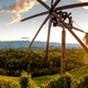 Štajersko razglasili za najboljšo vinsko regijo v Evropi, premagala je celo Francijo in Italijo