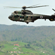 Iskalna akcija: moškega našli sredi gozda v slabem stanju, s helikopterjem so ga prepeljali v UKC Ljubljana