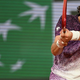 Navduševal na OP Francije, na travi v Halleju že izpadel