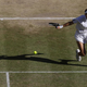 Finalistka Wimbledona po manjši operaciji na odmor