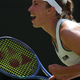 Za naslov ATP v Winston Salemu Buse in Fery