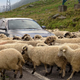 Stroški zdravljenja v tujini lahko dosežejo več tisoč evrov. Ste res dovolj zaščiteni?