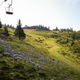 Velika Planina: pogrešanega pohodnika še vedno iščejo