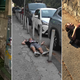 "Pijani" turisti so odšli: to bodo zdaj storili na Hrvaškem