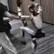 Drama: humanoidni robot brcnil programerja in mu izbil ... #video