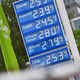 Nemci se bojijo treh evrov za liter dizla, Tesla istočasno s protiudarcem