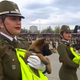 Ukradli so vso pozornost #video
