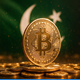 Pakistan bo s fosilnimi gorivi rudaril bitcoin