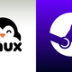 Steam za Linux dobil 64-bitno verzijo