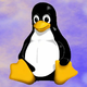 Ranljivost v vseh distribucijah Linuxa