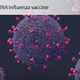 Saga s cepivom mRNA proti gripi v ZDA srečno končana