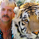 Kolumna Miše Terček: Kralj tigrov, drugič