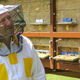 Tradicijo prepoznal ves svet: čebelarstvo in lipicanci na Unescovem seznamu