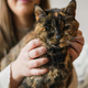 Flossie, najstarejša živeča mačka na svetu, je stara skoraj 27 let