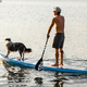 Osvežitev in športni raj v enem: to je Velenjsko jezero (FOTO)