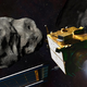 Nasina sonda uspešno trčila v asteroid