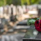 Bila je živa pokopana: enajst dni po pogrebu so iz grobnice slišali glasove