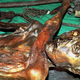 Podoba Ötzija drugačna od dosedanjih ugotovitev: verjetno je imel temno polt in plešo