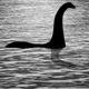 Iščejo se lovci na mitično pošast Nessie