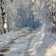 Zimska pravljica v Polhograjskem hribovju: vrh lahko izkoristijo tudi turni smučarji