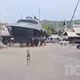 BREZ MILOSTI: Lovec sredi izolske ladjedelnice ustrelil srno (FOTO, VIDEO)