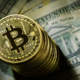 Katere kriptovalute kupiti v aprilu 2024 pred bitcoin halvingom